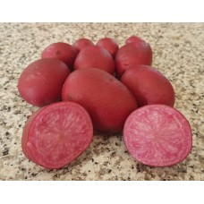 Картофель семенной розовый Адирондак Ред, супер-элита, 10 шт.