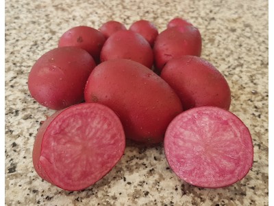 Картофель семенной розовый Адирондак Ред, супер-элита, 10 шт.