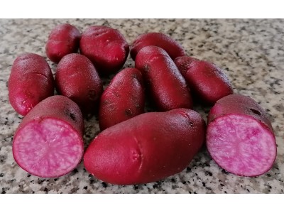 Картофель семенной Амароса, первое полевое поколение, 10 шт.